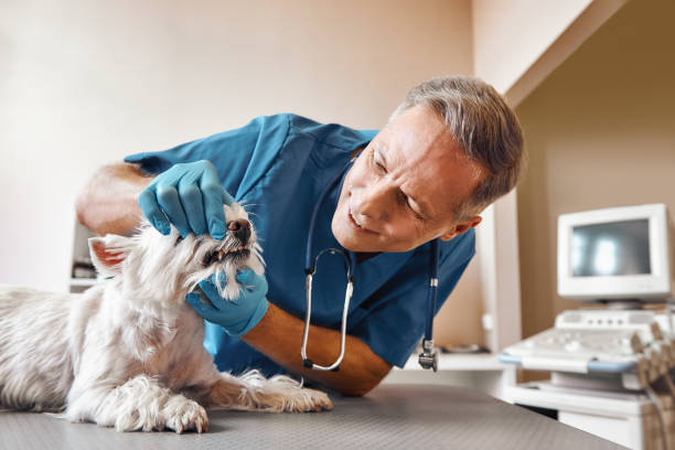Best 24-Hour Emergency Dentist in Union City, OK